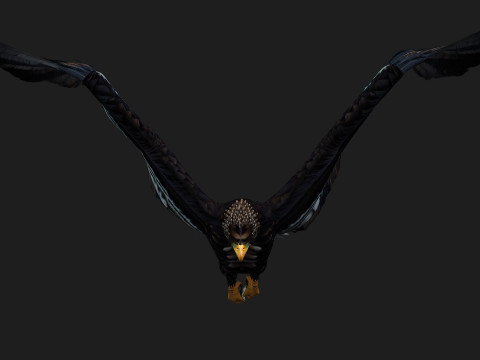 EagleA3 Modello 3D