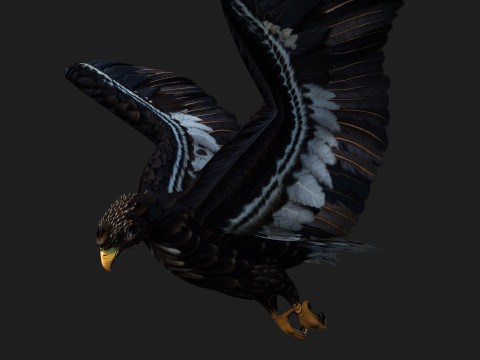 EagleA3 Modello 3D