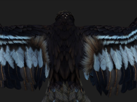 EagleA3 Modello 3D