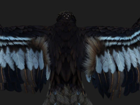 &Aacute;guiaA3 Modelo 3D