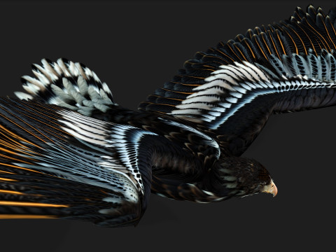 EagleA4 Model 3D