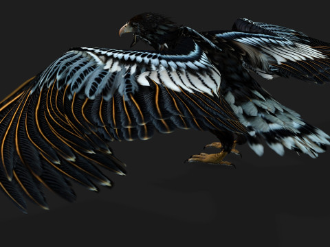 EagleA4 Model 3D