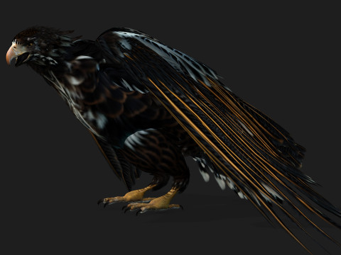 EagleA4 Model 3D