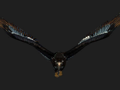 EagleA4 Model 3D