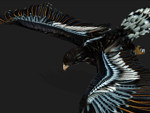 EagleA4 Model 3D
