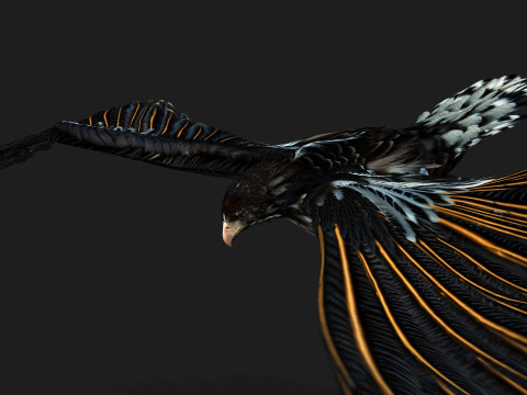 EagleA4 Model 3D