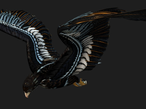EagleA4 Model 3D
