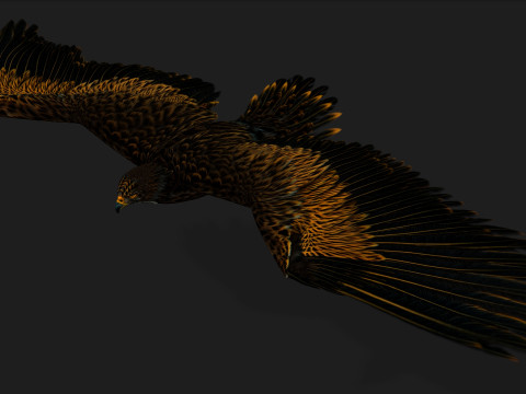 EagleA5 Modèle 3D