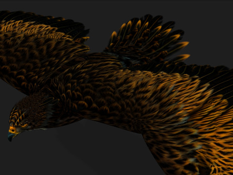 EagleA5 Modèle 3D