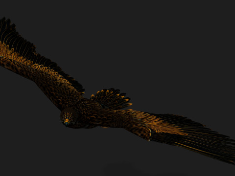 EagleA5 Modèle 3D