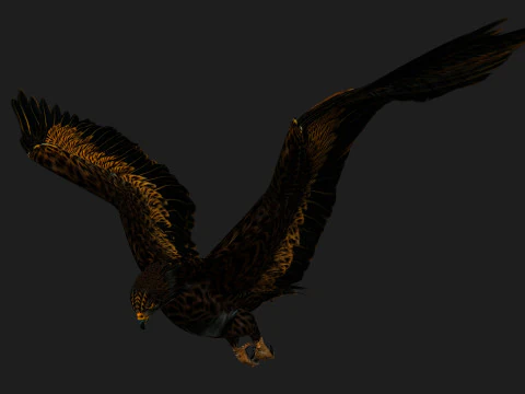 &Aacute;guiaA5 Modelo 3D