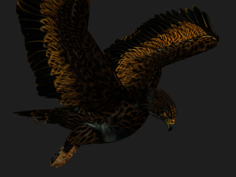 EagleA5 Modèle 3D