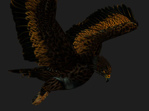 &Aacute;guiaA5 Modelo 3D