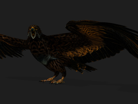 EagleA5 Modèle 3D