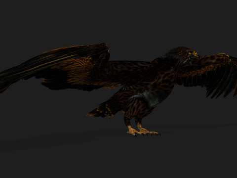 EagleA5 Modèle 3D