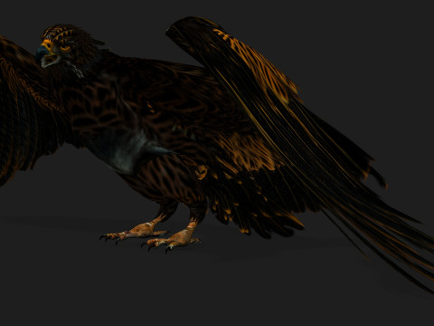 EagleA5 Modèle 3D