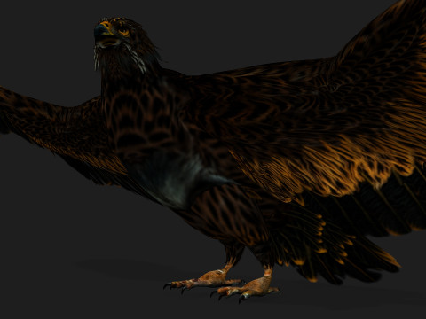 EagleA5 Modèle 3D