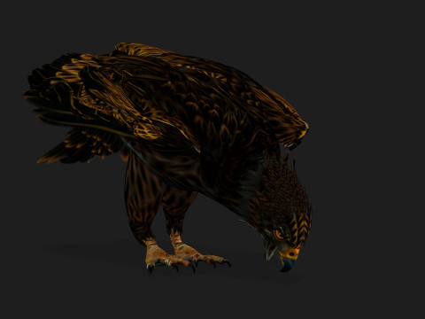 EagleA5 Modèle 3D