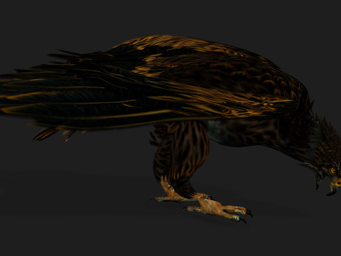 EagleA5 Modèle 3D