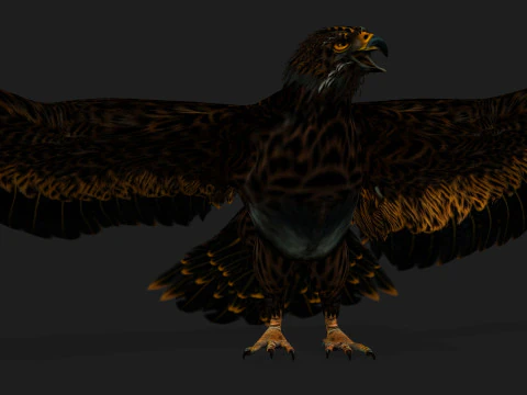 &Aacute;guiaA5 Modelo 3D