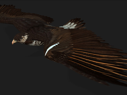 EagleV1E 3D Model