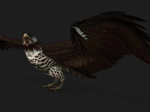 EagleV1E 3D Model
