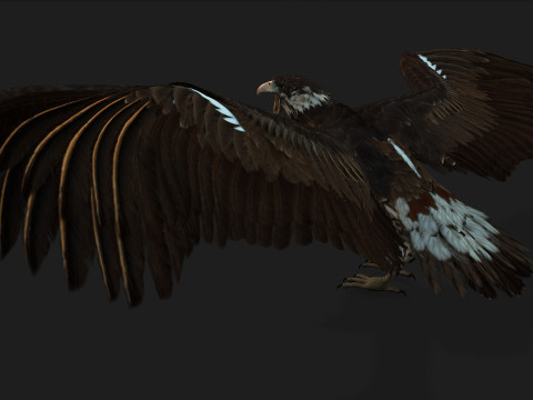 EagleV1E 3D Model