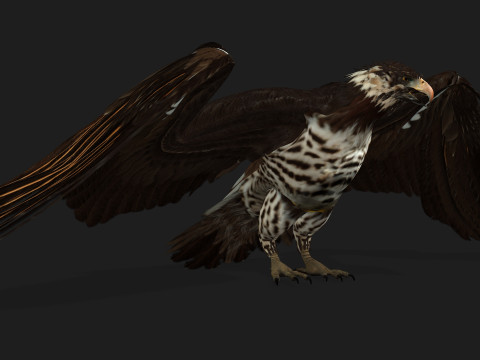 EagleV1E 3D Model