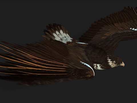 EagleV1E 3D Model