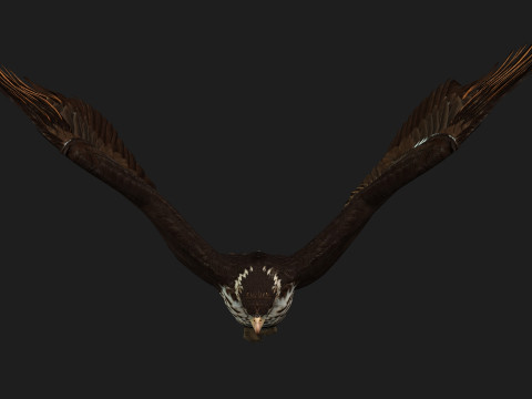 EagleV1E 3D Model