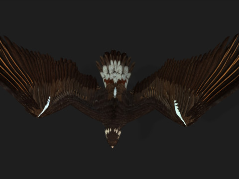 EagleV1E 3D Model
