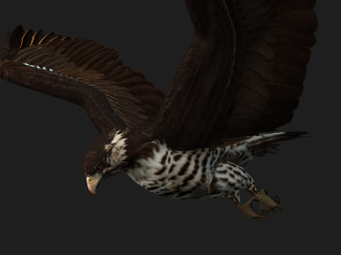 EagleV1E 3D Model