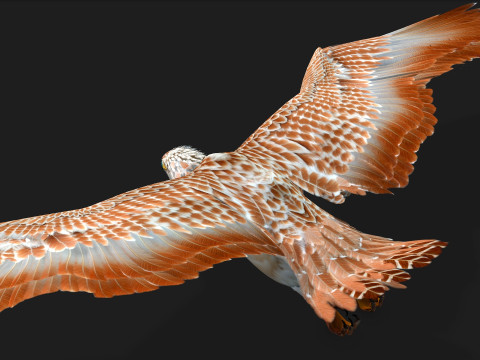 EagleV2E 3D मॉडल