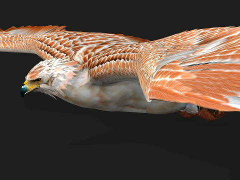 EagleV2E 3D Model