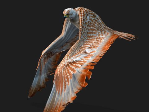 EagleV2E 3D मॉडल