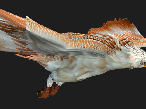 EagleV2E 3D मॉडल