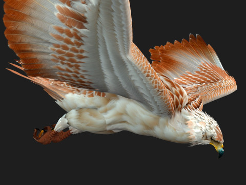 EagleV2E 3D मॉडल