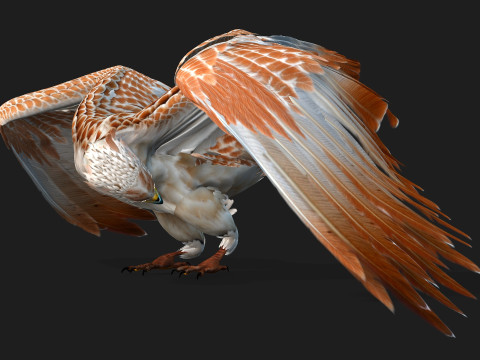 EagleV2E 3D मॉडल
