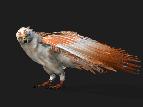EagleV2E 3D मॉडल