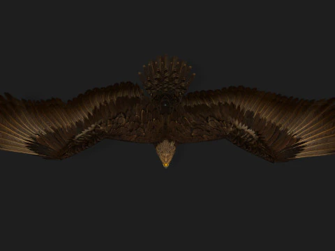 EagleV3E 3D Model