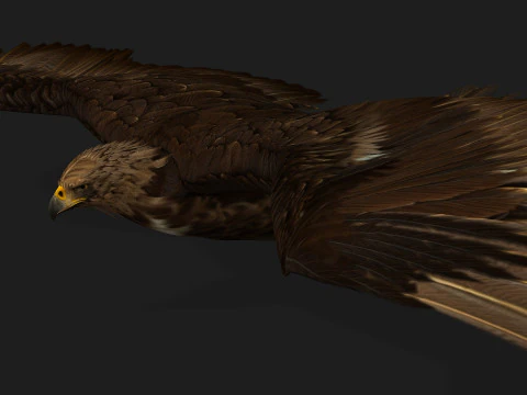 EagleV3E 3D Model