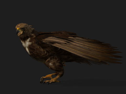 EagleV3E Modello 3D