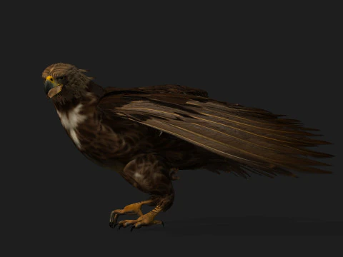 EagleV3E 3D Model