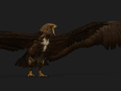 EagleV3E 3D Model