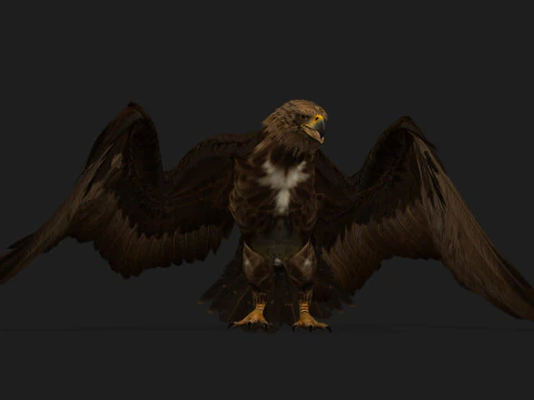 EagleV3E 3D Model