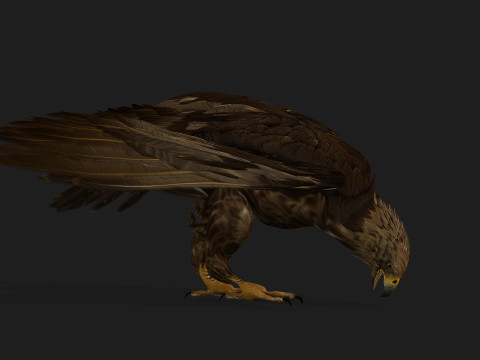 EagleV3E Modello 3D