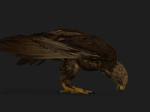 EagleV3E 3D Model