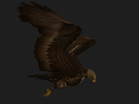 EagleV3E Modello 3D