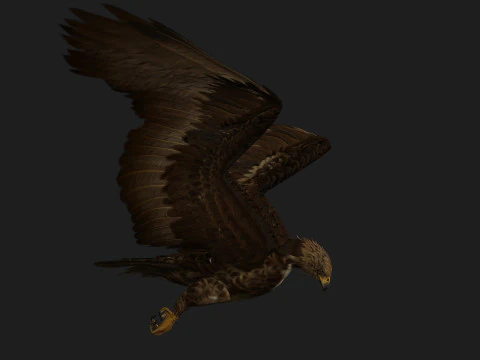 EagleV3E 3D Model