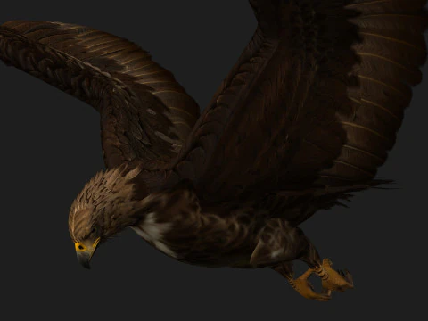 EagleV3E 3D Model